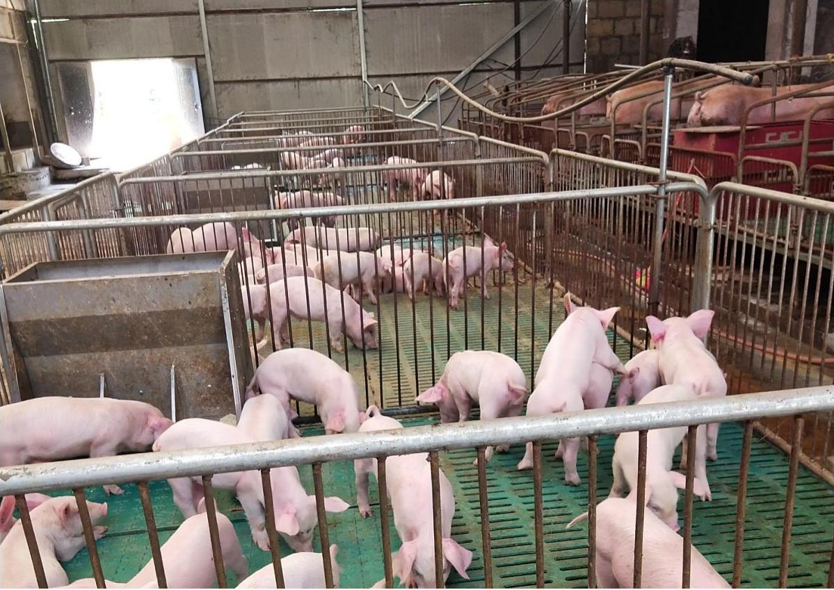 农商银行青年贷政策,银行助力农村青年创业