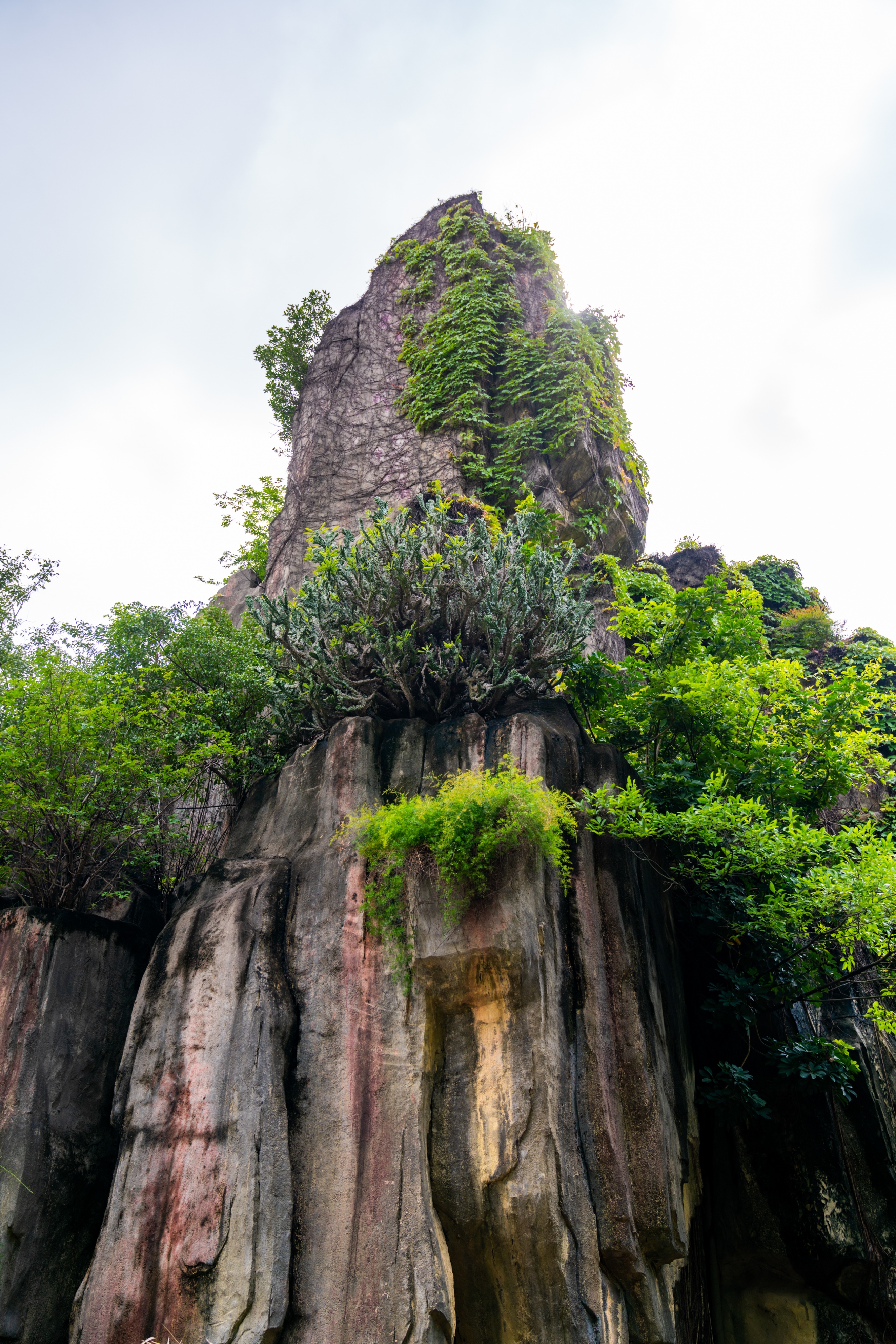 粤晖园国庆游,粤晖园自驾游攻略