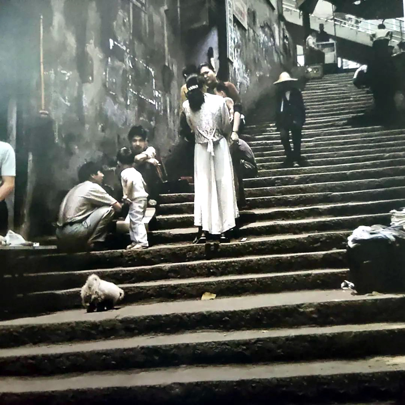 旧城拾遗任务寻宝怎么使用,旧城拾遗在残响回廊中寻找