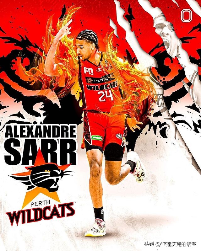 萨尔加盟nbl珀斯野猫,2024亚历克斯萨尔身高臂展