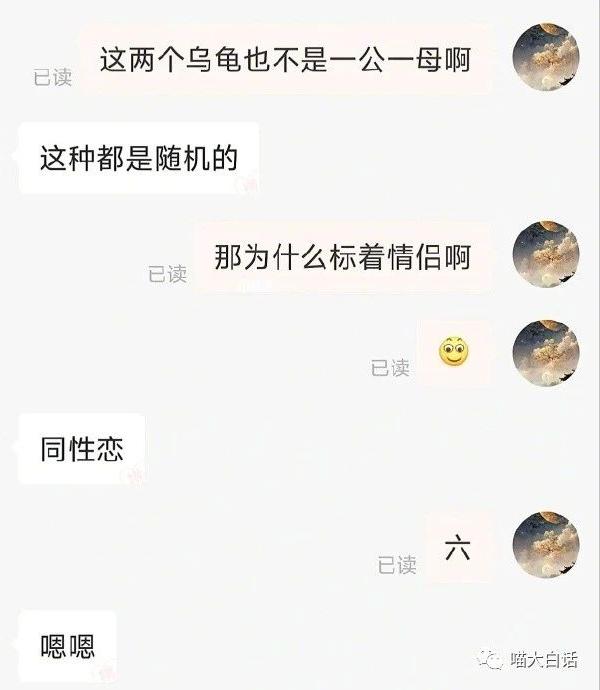 “写网文发现忠实粉丝竟是闺蜜?”哈哈哈哈哈感天动地姐妹情!