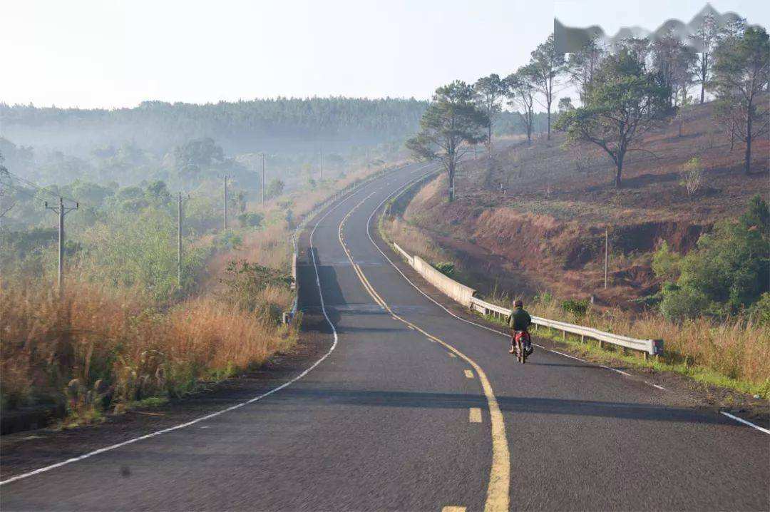 小伙用1200买烂树根,捡个树根做根雕
