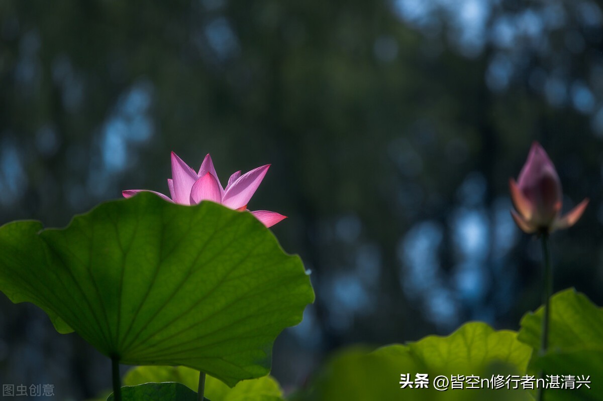 四十岁以后的人生万事随缘,40岁以后发大财的人