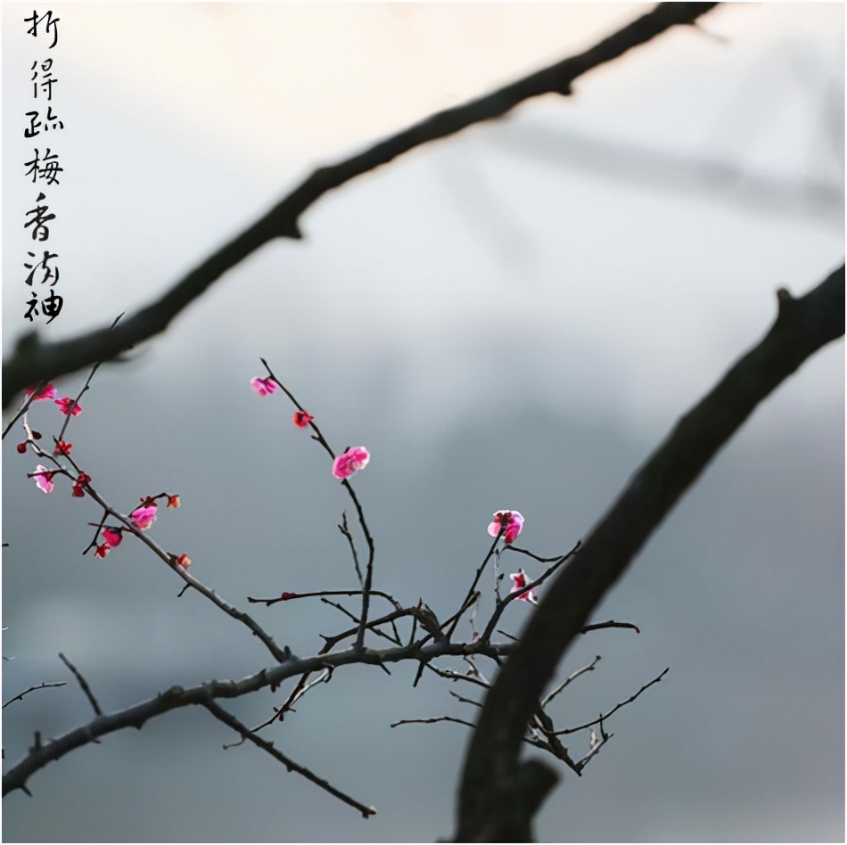 一种境界一种胸怀,独处的唯美境界