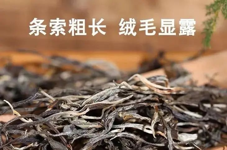 各产区普洱茶的条索特点,怎么区分普洱茶的三种条索