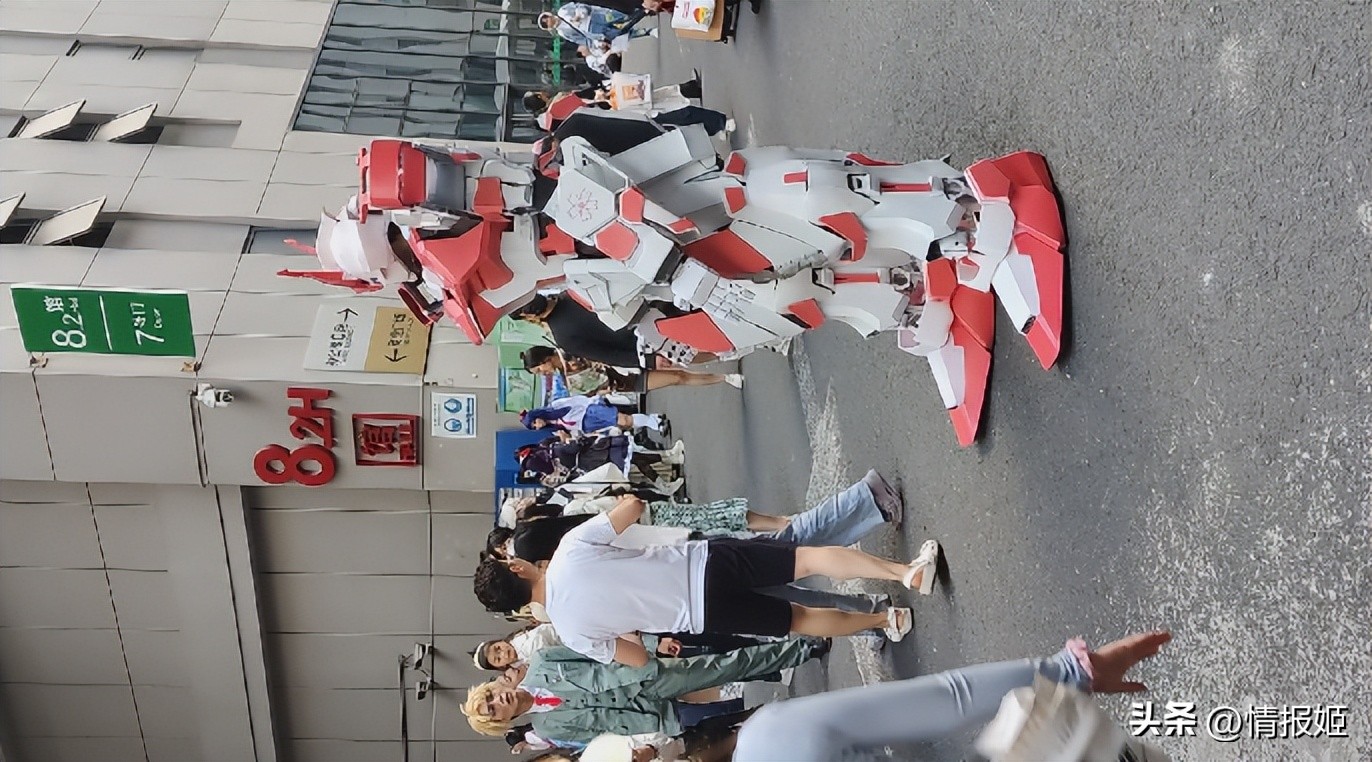 去cp29不会迷路吗,为什么这么多人要去cp29