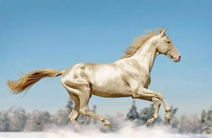 土库曼斯坦永久中立国的地位,土库曼斯坦中立国