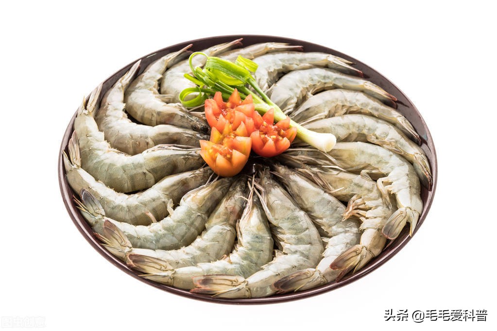 减肥的时候可以吃面包吗,减肥多吃肉的正确方法