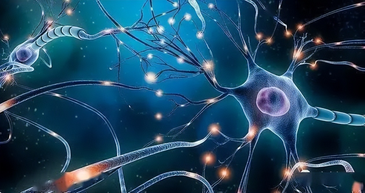 如何正确解决大脑功能衰退,大脑疲劳可以通过锻炼恢复吗