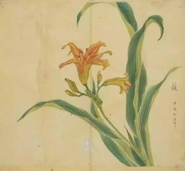 陈风月诗经原文,诗经陈风月出全文注音