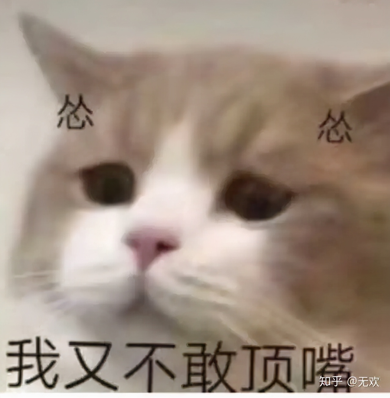 出狱的天才，造神的牛人：从PPT到新车，这场资本棋局，懂了没？