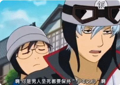 养公猫还是母猫对比视频,养公猫好还是母猫好