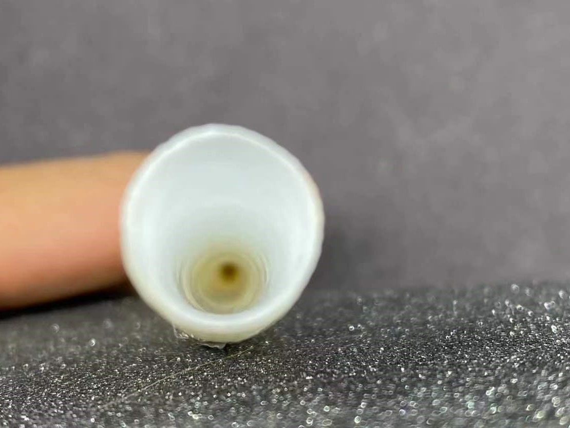 海南海鲜贝类有哪些,海南海鲜贝类