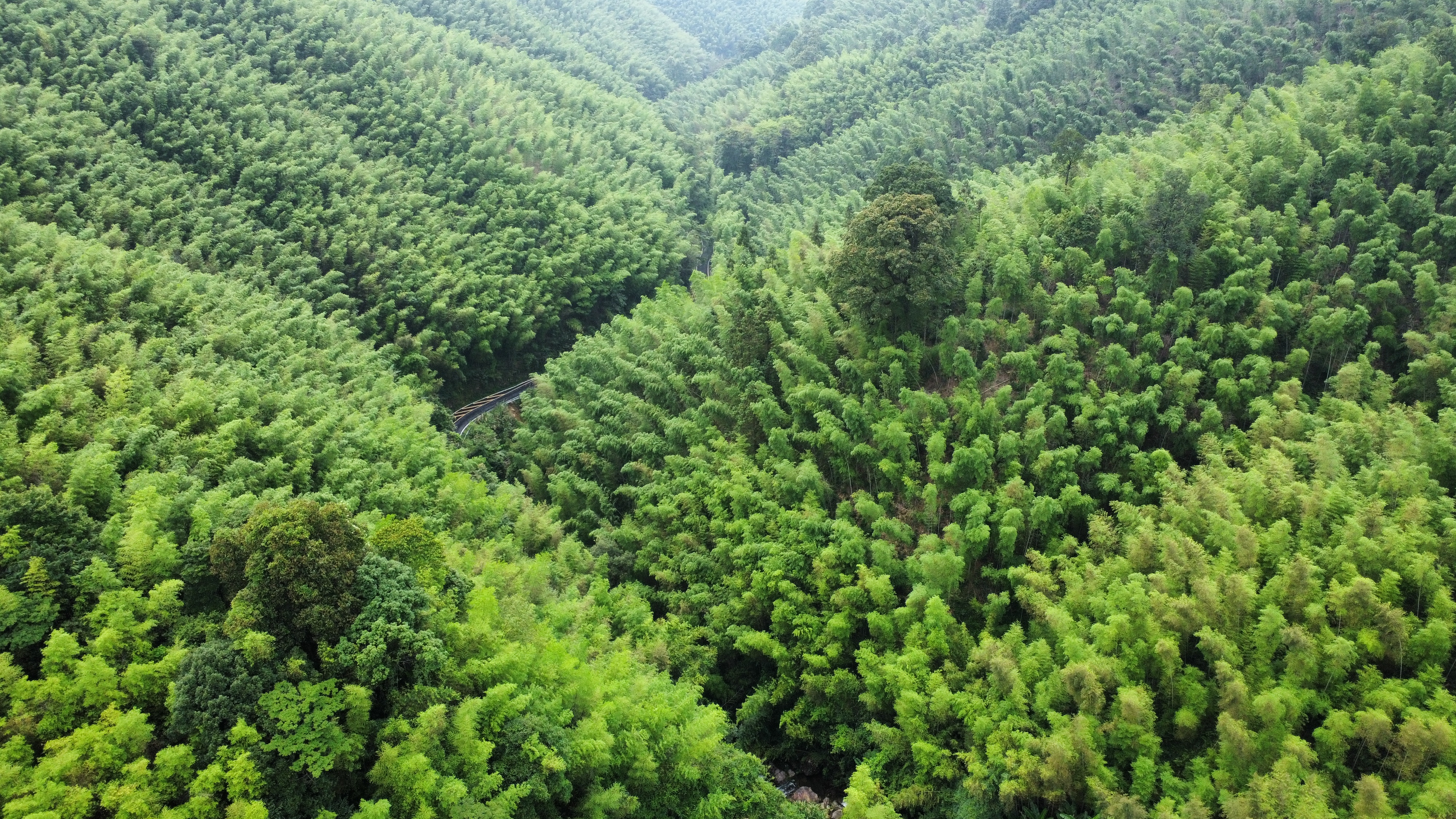 惠州夏日避暑胜地南昆山,惠州南昆山溯溪玩水的地方