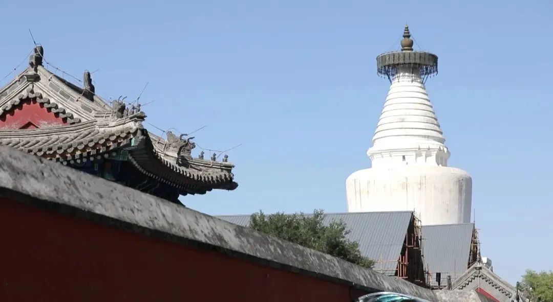 迷尚北京节目,不出京端午小长假适合去哪玩