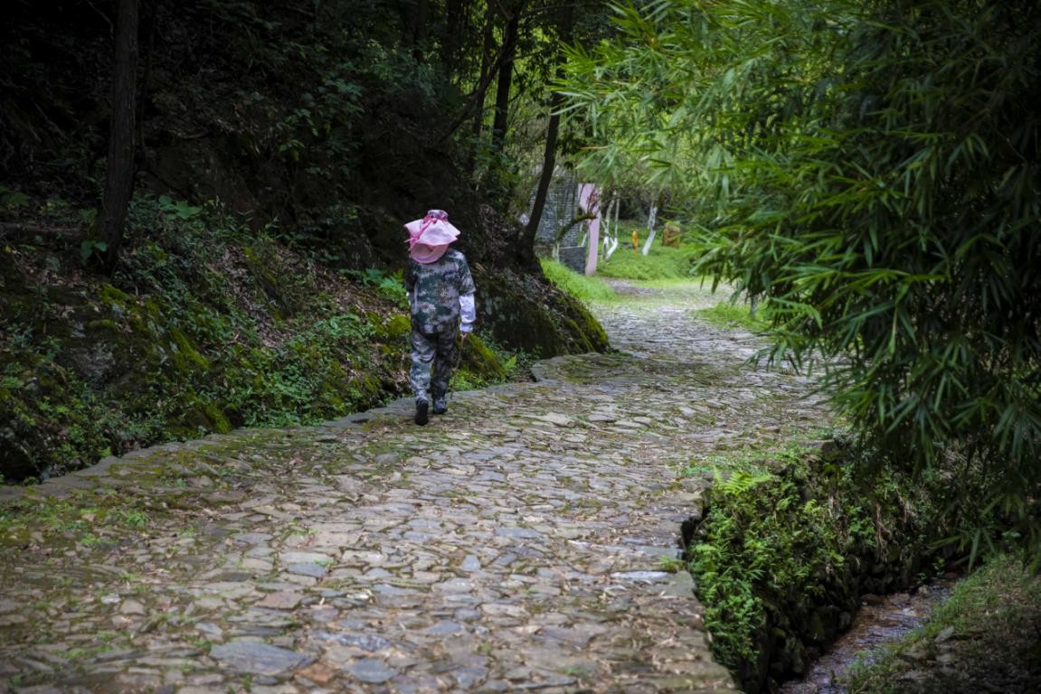 探秘韶关,魅力韶关之旅