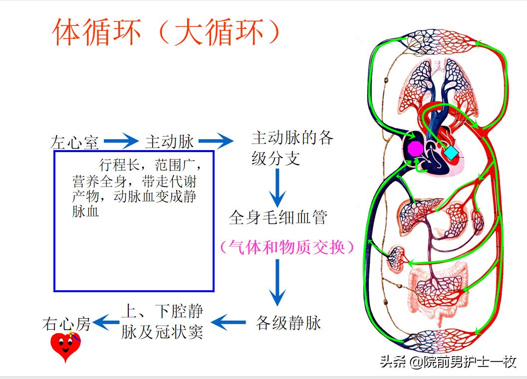急性肺栓塞疑难病例讨论模板,急性肺栓塞ct讲解视频