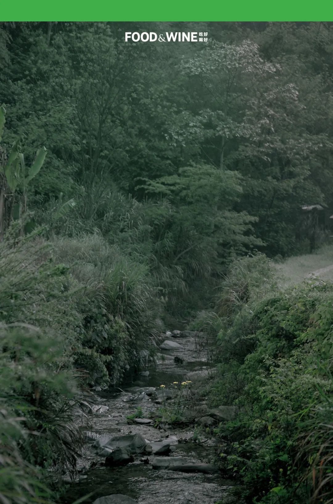 鏅痉闀囧搴欏悆鏂嬮キ,涓囧绂呭鏂嬮キ