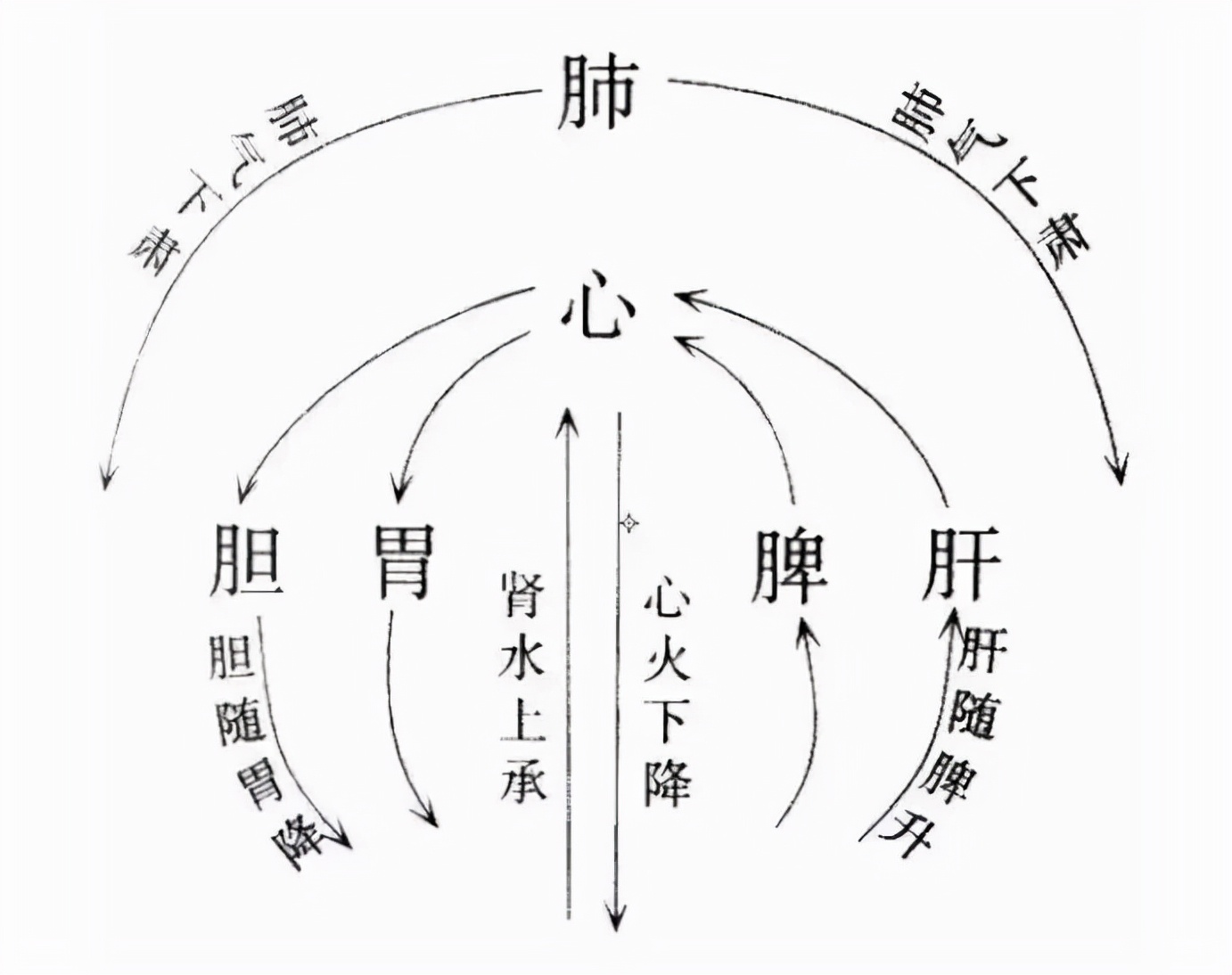 舌头有齿痕脾虚最快的恢复办法,九大体质舌诊辨识与调理方法