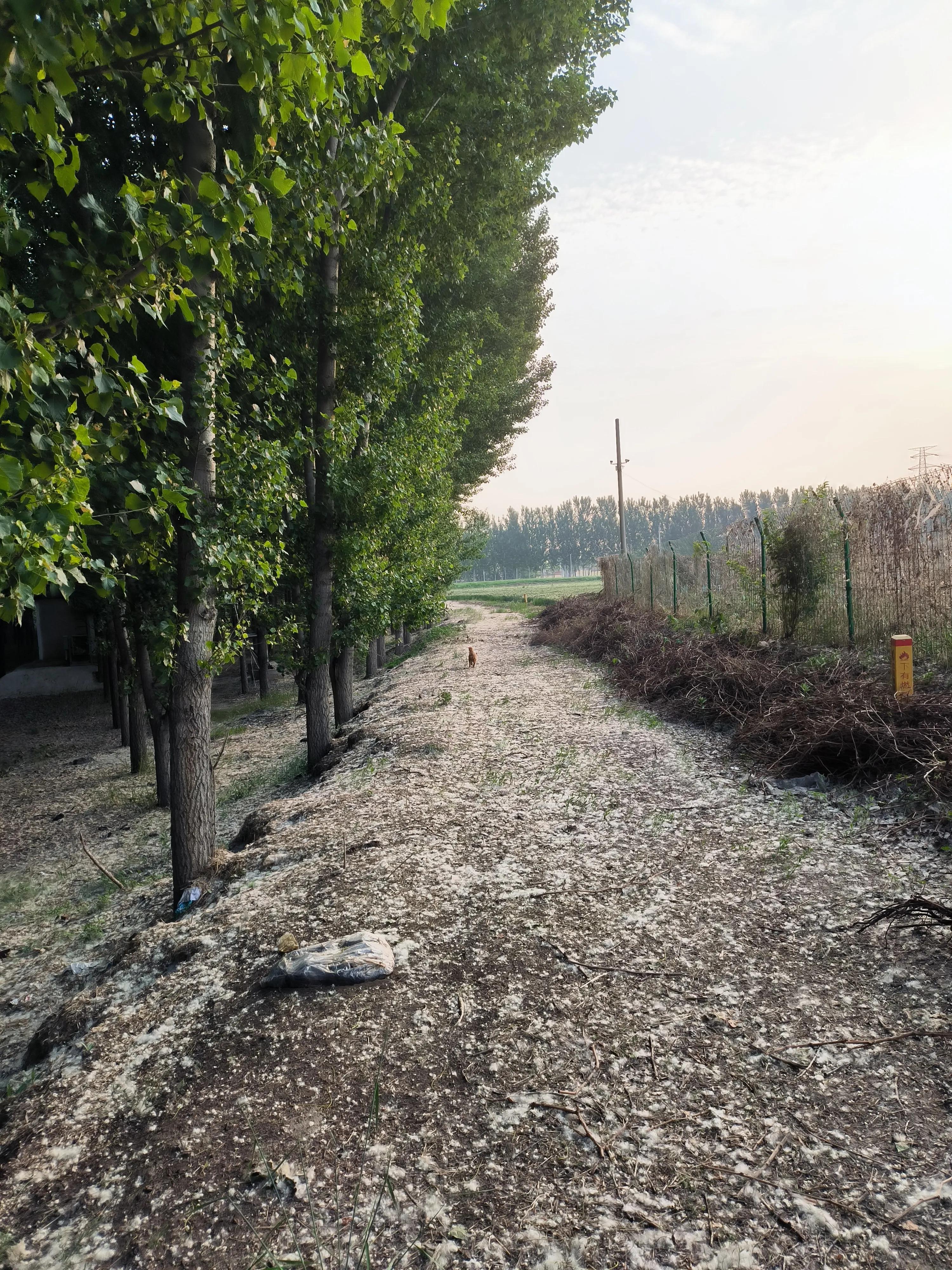 经典七字对联集锦欣赏,经典对联合集大全简单