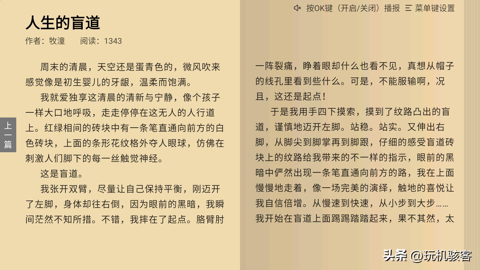 大屏电视还能看书听小说？喜欢的都说妙不可言！