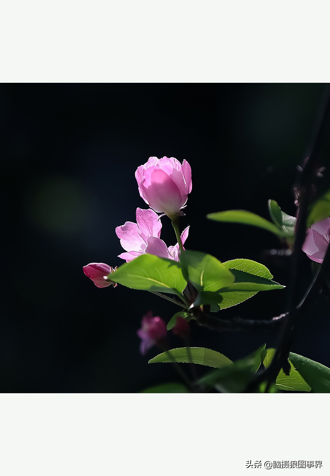 掌握的20个摄影构图法,拍摄照片常用的四种构图是哪几个