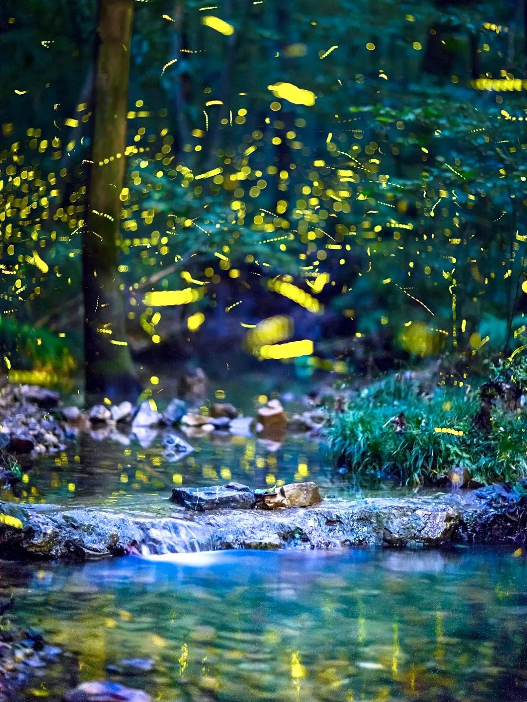 莫干山2000多一晚民宿,莫干山幽静民宿优惠