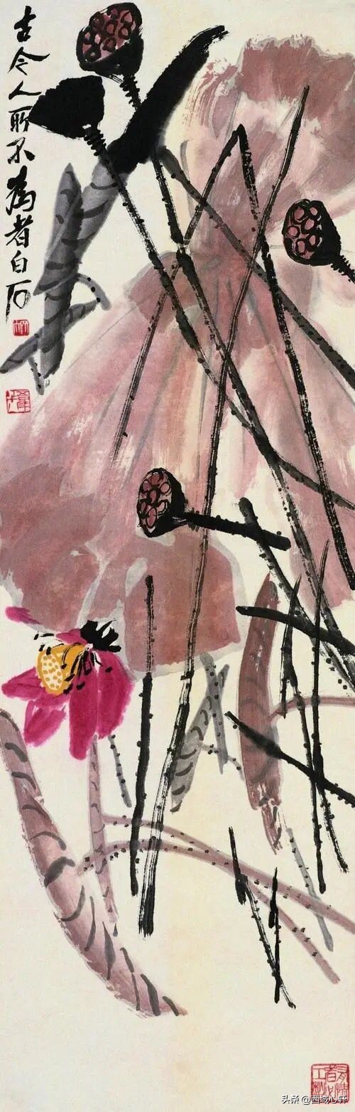 接天莲叶无穷碧映日荷花图片大全,莲叶无穷碧映日荷花别样红三幅图