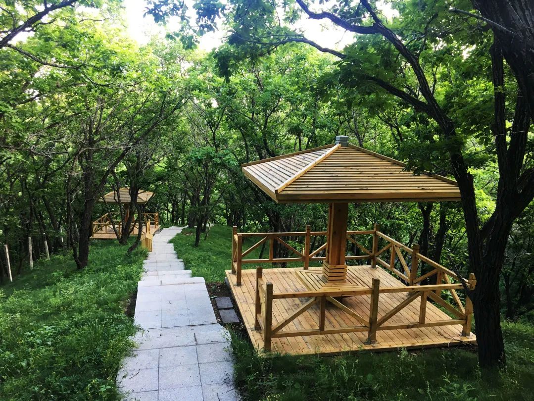 夏幽·嗨玩|全部免费！莲花山徒步宝藏地推荐！