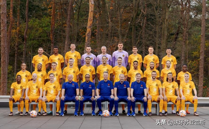 世界杯荷兰vs西班牙比分预测结果,世界杯8强荷兰vs阿根廷比分预测