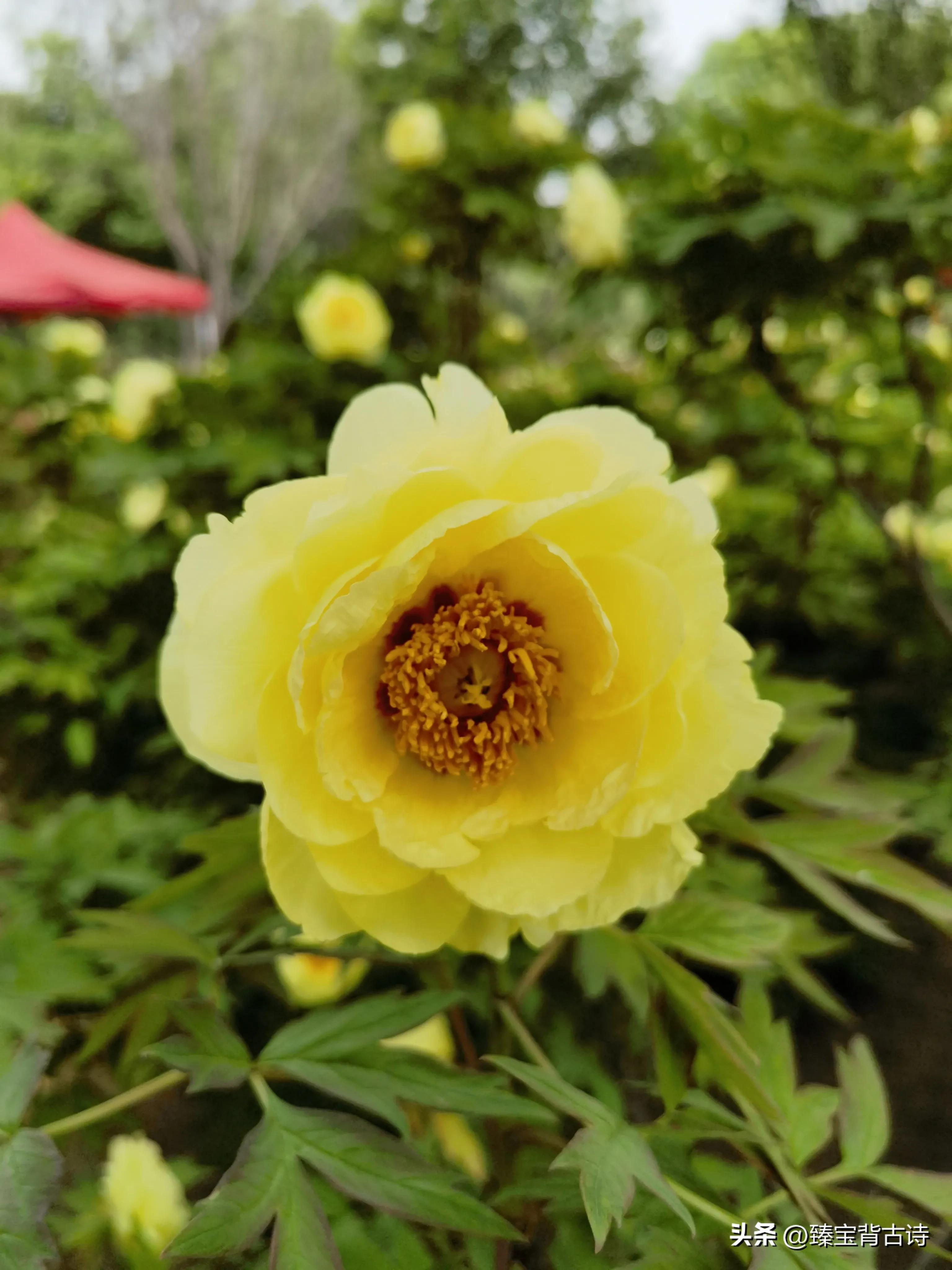 刘邦项羽古诗文,刘邦项羽写的诗词名句