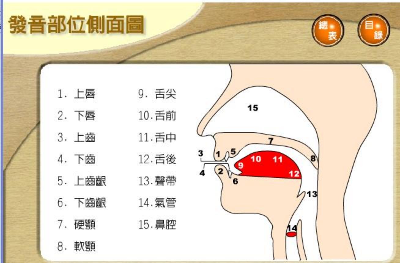 怎么快速记住音标发音口型,一口气背完48个音标