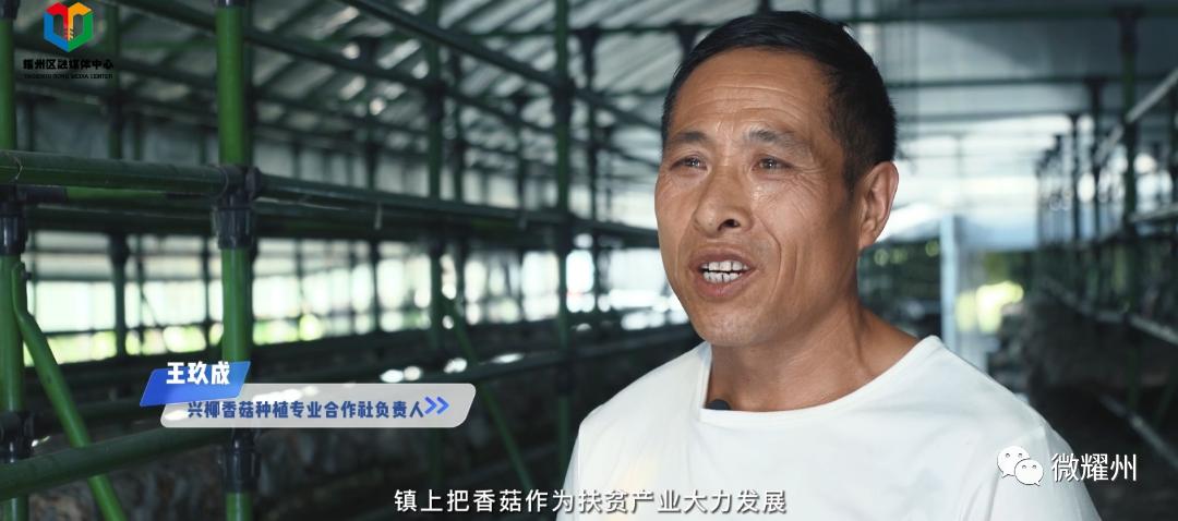 柳林村：幸福写满山水间