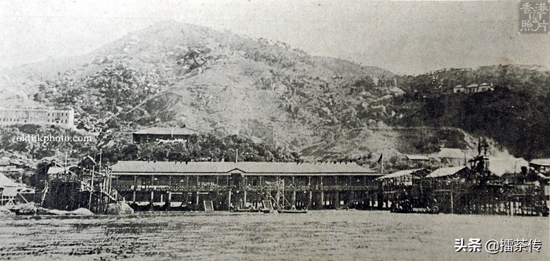 消失的海岸线半条命,快要消失的海岸线