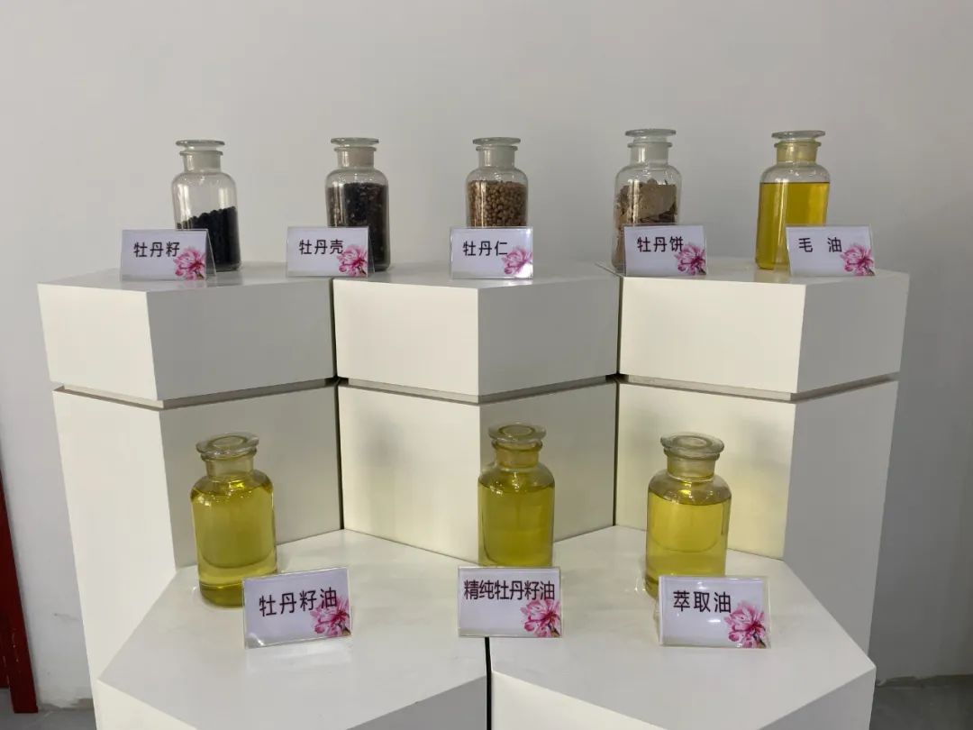 鲜花去哪了？带您在花尽处，又见“花开”