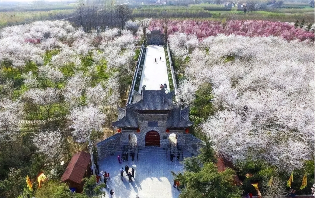 杨建芳涉黑集团覆灭记,河南涉黑团伙覆灭记全集