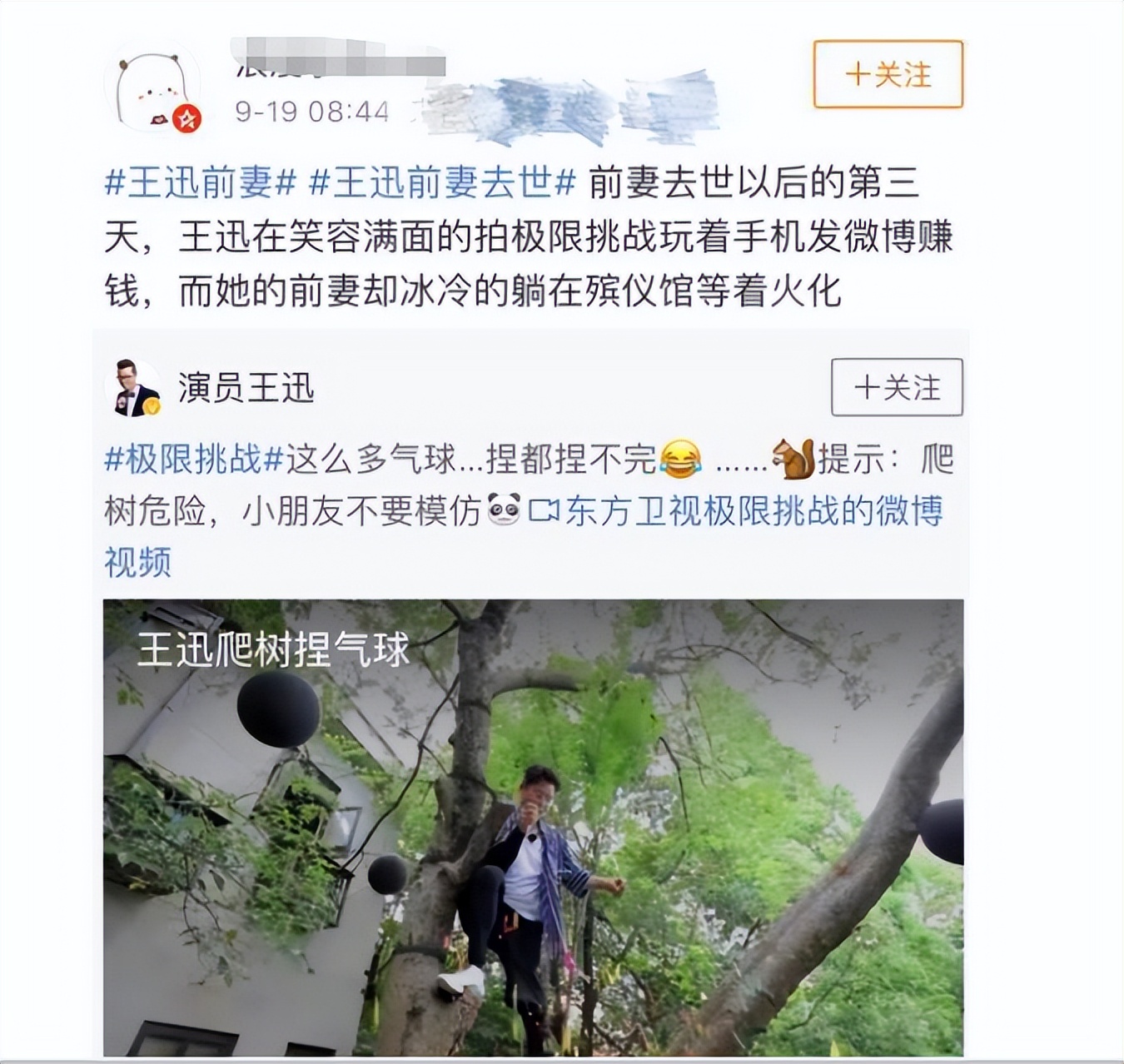 王迅妻子魏臻照片,王迅前妻魏臻个人简介