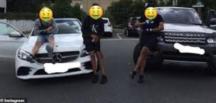 澳洲小混混们令居民头痛不已，当局出狠招：拉他们去偏僻乡下养牛