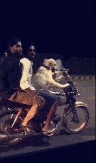 “无意中在女同事车上发现的，这是用来干嘛的？”网友们内涵了！