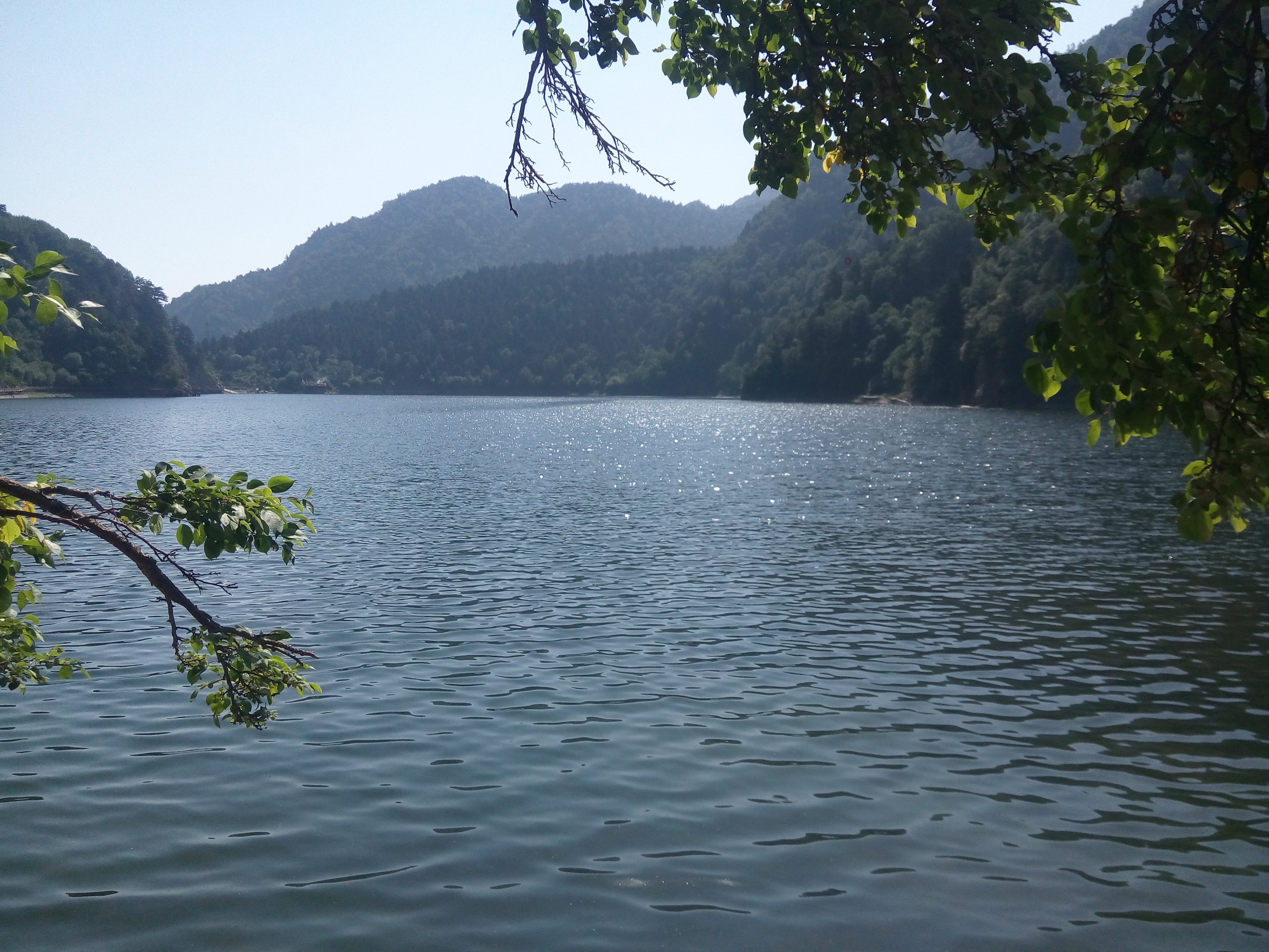 梦境日记,梦境观察笔记