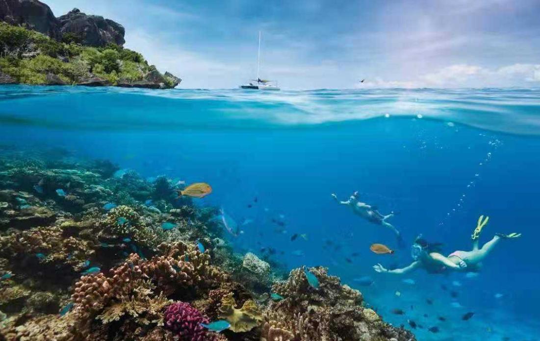 斐济在世界地图的位置,探寻斐济的位置和特色