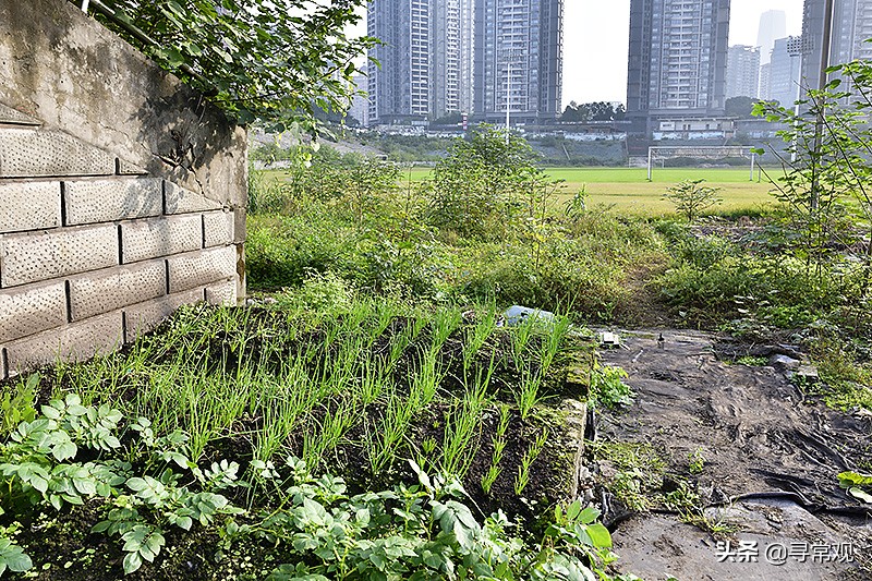 2023年亚洲杯足球赛停办了吗,亚洲杯足球队出局