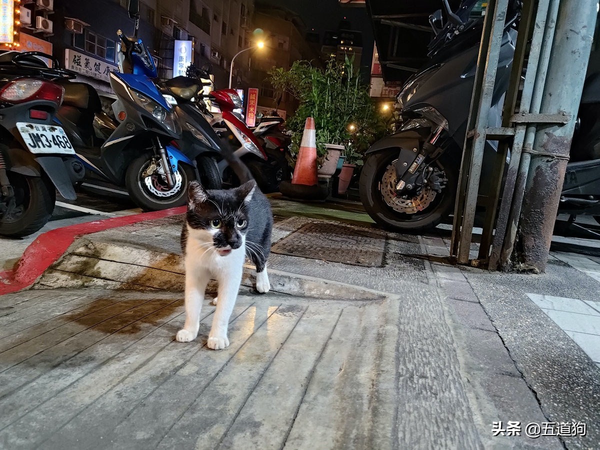 rogphone6,华硕rogphone