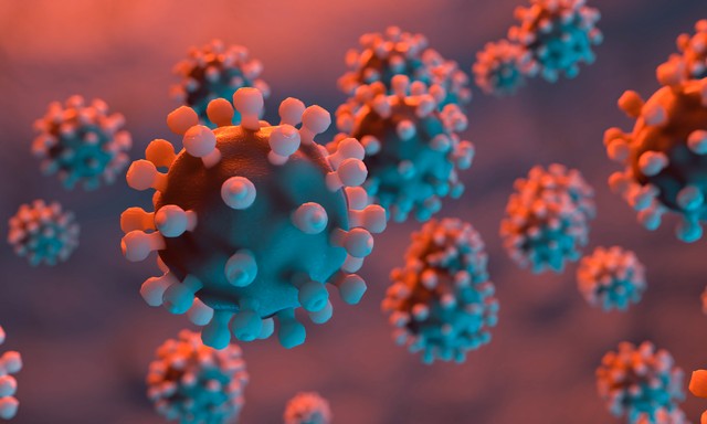 食物中的六大营养素作用,营养素的基本知识碳水化合物