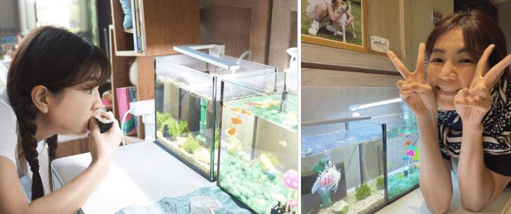 曾经男孩气的Ella,嫁对人以后,婚后生活美如画!网:浪漫又温馨