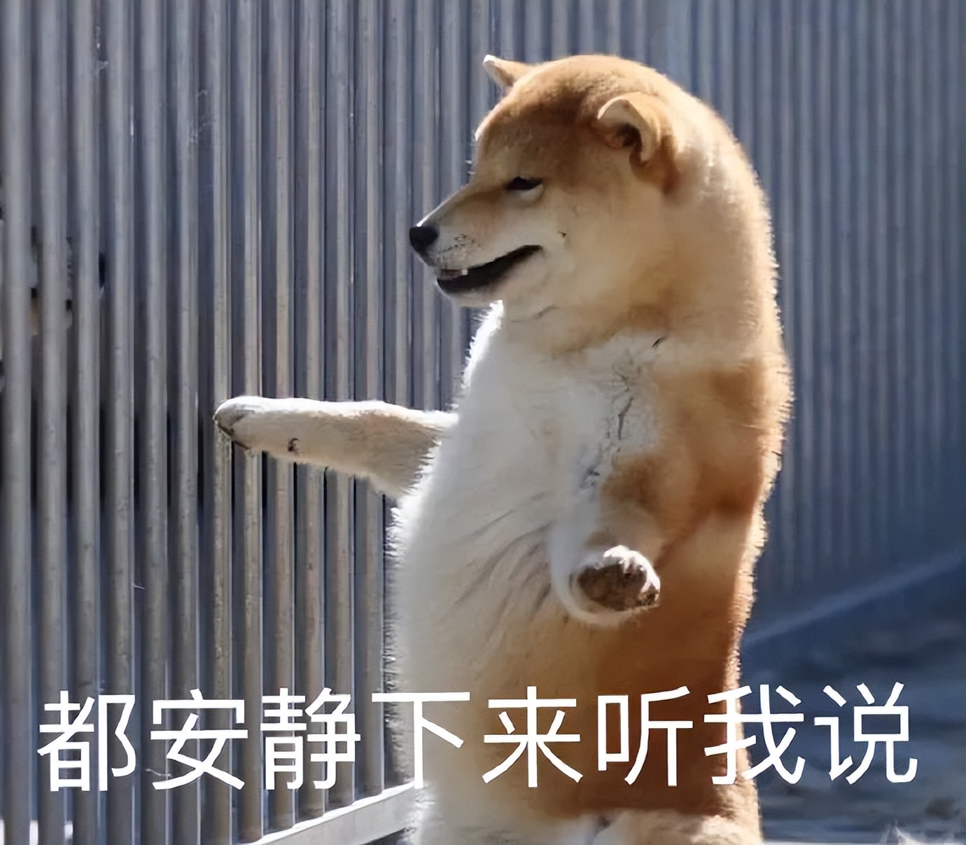 离谱！山东大哥专卖死人车：车有多凶，全看小*狗黑**上车坐哪？？