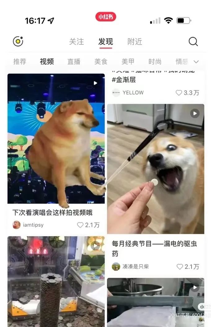 何老师抱狗撒尿，三石弟弟跳舞洗狗…这些破图我看一次笑一次哈哈