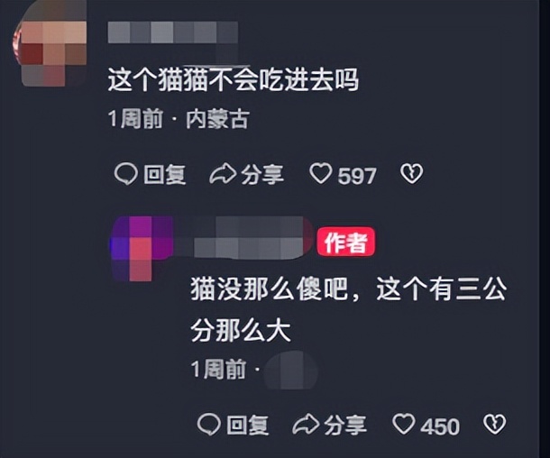 速度扩散，9.9元网红玩具竟成了猫咪的索命凶器？千万别买！