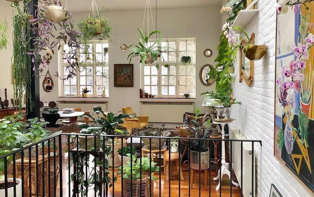 网上卖土,卖土竟然都赚了千万