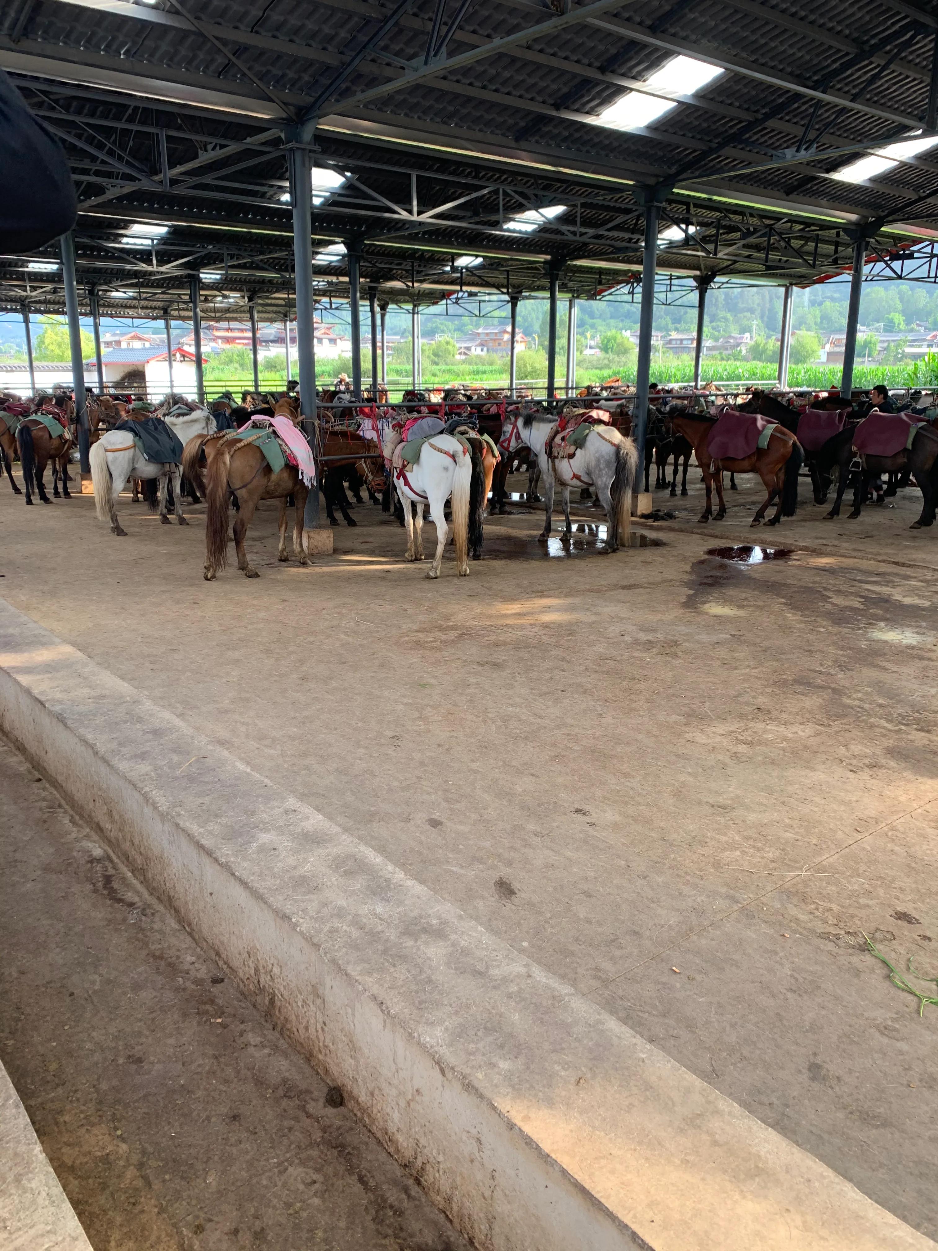 合肥到昆明大理丽江旅游攻略,我的合肥之旅